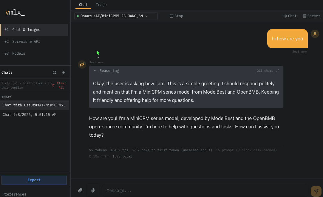 The console mid-reply: the reasoning block expanded, and a per-turn footer showing tokens, throughput, prompt rate, cache state and time to first token.